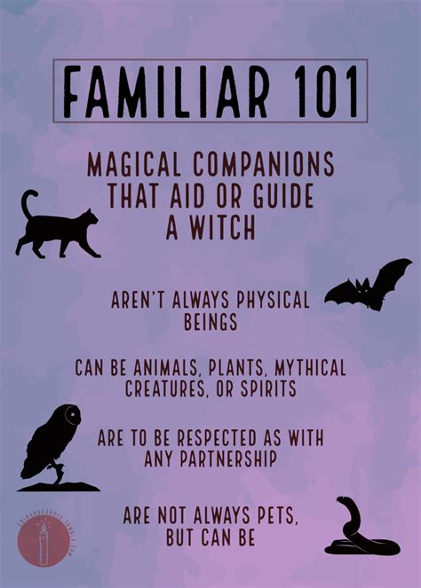 Mystical companion of a witch